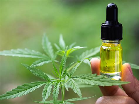 Cilt Bakımında CBD Ürünlerinin Faydaları: Cilt İçin CBD Yağı Cilt Bakımında CBD Ürünlerinin Faydaları: Cilt İçin CBD Yağı